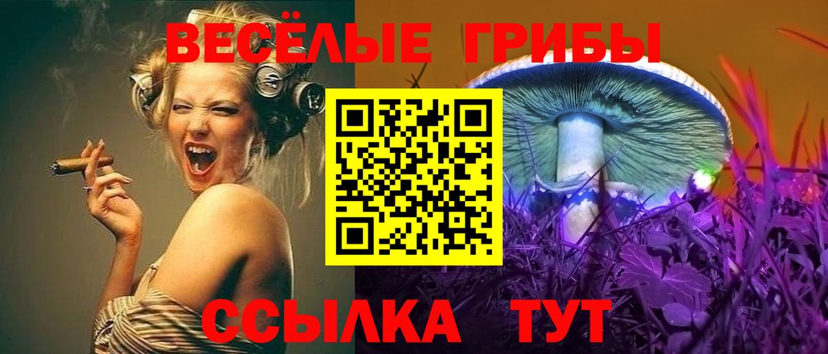 Знаменск  Галлюциногенные грибы ЛСД  Вход с VPN  Галлюциногенные грибы MAGIC MUSHROOMS 